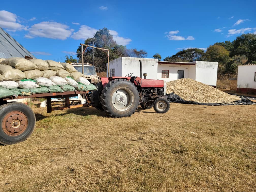 WhatsApp Image 2025-07-23 at 11.41.35